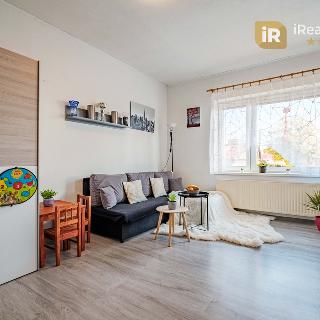 Prodej bytu 2+1 58 m² Leština u Světlé, 