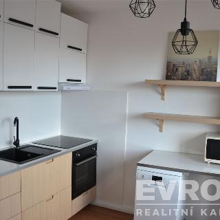 Pronájem bytu 1+1 37 m² Praha, plukovníka Mráze