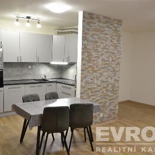 Pronájem bytu 3+kk 107 m² Praha, V kapslovně