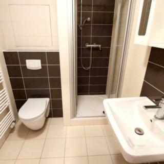 Pronájem bytu 1+kk a garsoniéry 31 m² Slavkov u Brna, Zelnice II.