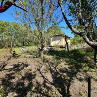 Prodej zahrady 483 m² Slavkov u Brna