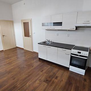 Pronájem bytu 2+kk 45 m&sup2; Rousínov
