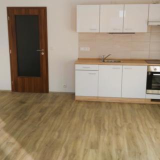 Pronájem bytu 1+kk, garsoniery 30 m² Slavkov u Brna