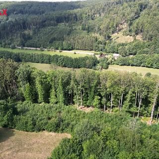 Prodej stavební parcely 70350 m² Ludkovice