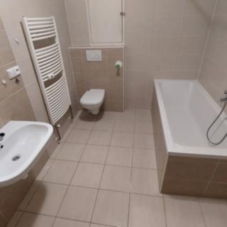Pronájem bytu 1+kk a garsoniéry 53 m² Slavkov u Brna, Zelnice II.