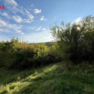 Prodej zahrady 589 m&sup2; Bílovice nad Svitavou