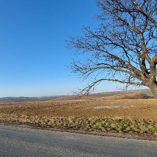 Prodej stavební parcely 9 286 m² Bučovice