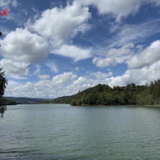 Prodej lesa 12448 m² Letovice