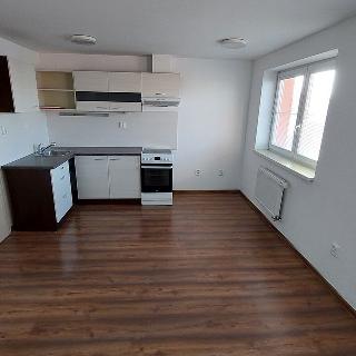 Pronájem bytu 2+kk 45 m² Rousínov, Kalouskova