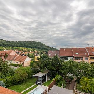 Prodej rodinného domu 251 m² Mikulov, M. Majerové