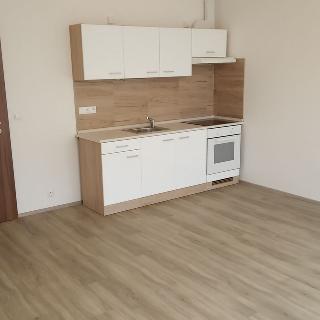 Pronájem bytu 1+kk a garsoniéry 31 m² Slavkov u Brna, Zelnice II.