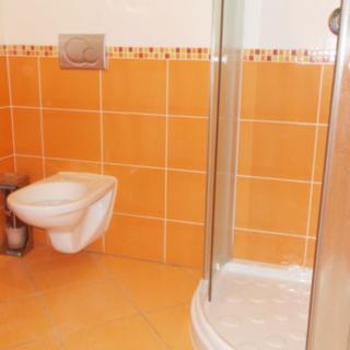 Pronájem bytu 1+kk a garsoniéry 30 m² Rousínov, Kalouskova