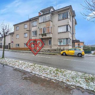 Prodej bytu 1+1 52 m² Žamberk, Nádražní