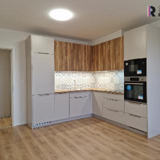 Pronájem bytu 2+kk 45 m² Beroun, U Židovského hřbitova