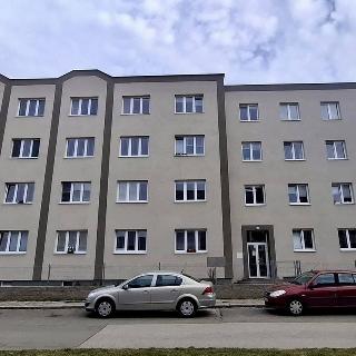 Pronájem bytu 1+1 38 m² Hradec Králové, Vocelova