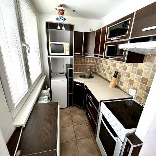 Prodej bytu 1+kk a garsoniéry 35 m² Hradec Králové, Třebechovická