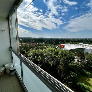 Pronájem bytu 1+kk a garsoniéry 35 m² Hradec Králové, Třebechovická