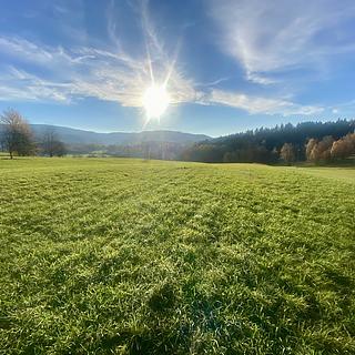 Prodej louky 33698 m&sup2; Mníšek