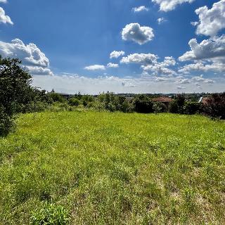 Prodej stavební parcely 850 m² Statenice, Sadová