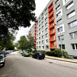 Pronájem bytu 1+1 34 m² Nová Paka, Achátová