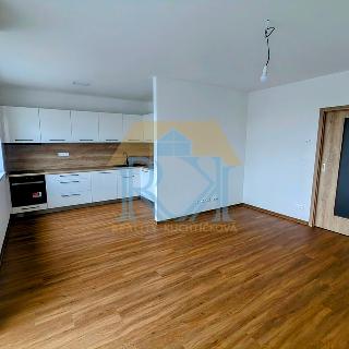 Pronájem bytu 2+kk 62 m² Hodonín, Žižkova