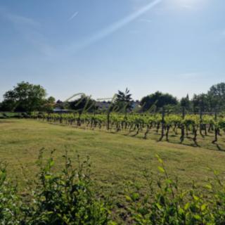 Prodej stavební parcely 2244 m² Lužice