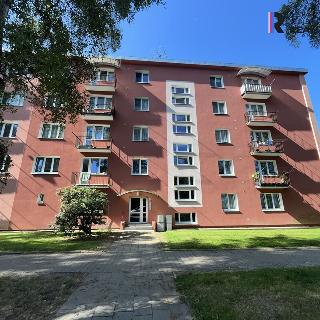 Prodej bytu 3+1 75 m² Šumperk, 8. května