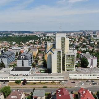 Pronájem obchodu 818 m² Praha, Zelený pruh