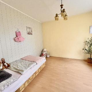 Prodej bytu 3+1 65 m² Týn nad Vltavou, Malostranská