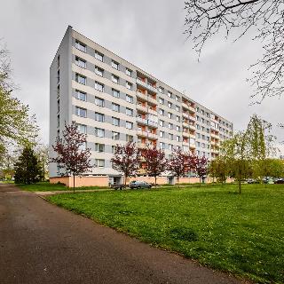 Prodej bytu 2+1 64 m² Trutnov, Pomněnková