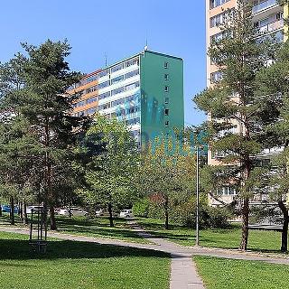 Prodej bytu 3+1 68 m² Praha, Hurbanova