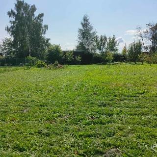 Prodej stavební parcely 796 m² Rynholec, 