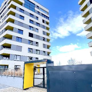 Prodej bytu 2+kk 60 m² Praha, Sokolova