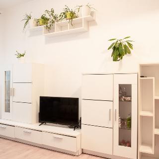 Prodej bytu 4+1 80 m² Praha, Brichtova