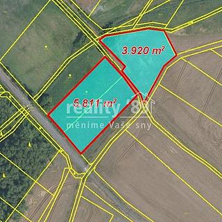Prodej zemědělské půdy 12885 m&sup2; Kostelec nad Labem