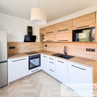 Pronájem bytu 2+1 58 m² Karviná, Cihelní