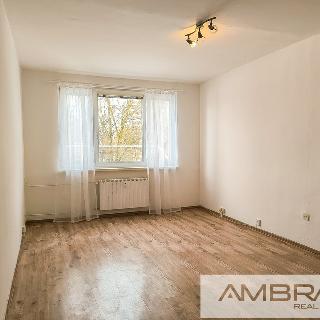 Pronájem bytu 2+1 60 m² Karviná, Flemingova