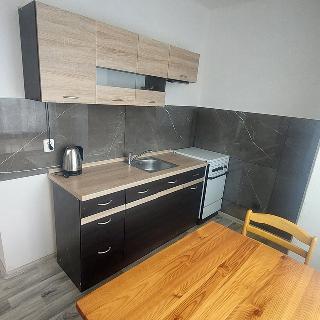 Pronájem bytu 1+1 32 m² Havířov, 