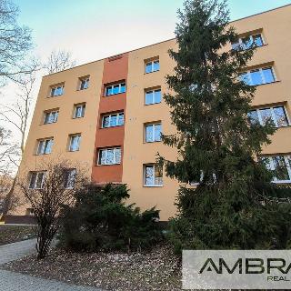 Prodej bytu 1+1 41 m² Bohumín, Šunychelská