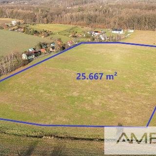 Prodej zemědělské půdy 25 667 m² Petrovice u Karviné, 