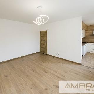 Prodej bytu 2+1 58 m² Karviná, Kosmonautů