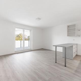 Pronájem bytu 1+kk a garsoniéry 40 m² Plzeň, Heyrovského