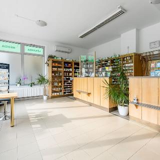 Pronájem obchodu 177 m² Plzeň, Hodonínská