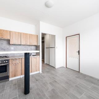 Pronájem bytu 1+1 39 m² Plzeň, Rabštejnská