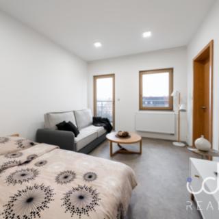 Pronájem bytu 1+1 38 m² Plzeň