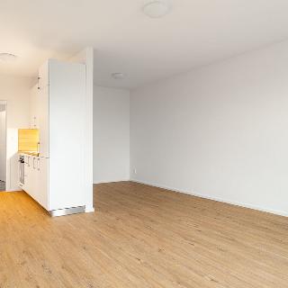 Pronájem bytu 1+kk a garsoniéry 37 m² Plzeň, Rybářská