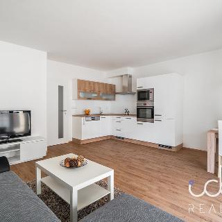 Pronájem bytu 2+kk 61 m² Plzeň, Na Jíkalce