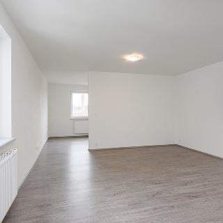 Pronájem bytu 2+kk 55 m² Plzeň, Plovární