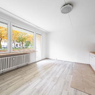 Pronájem bytu 1+kk a garsoniéry 34 m² Plzeň, Manětínská