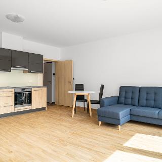 Pronájem bytu 3+kk 54 m² Plzeň, Na Jíkalce